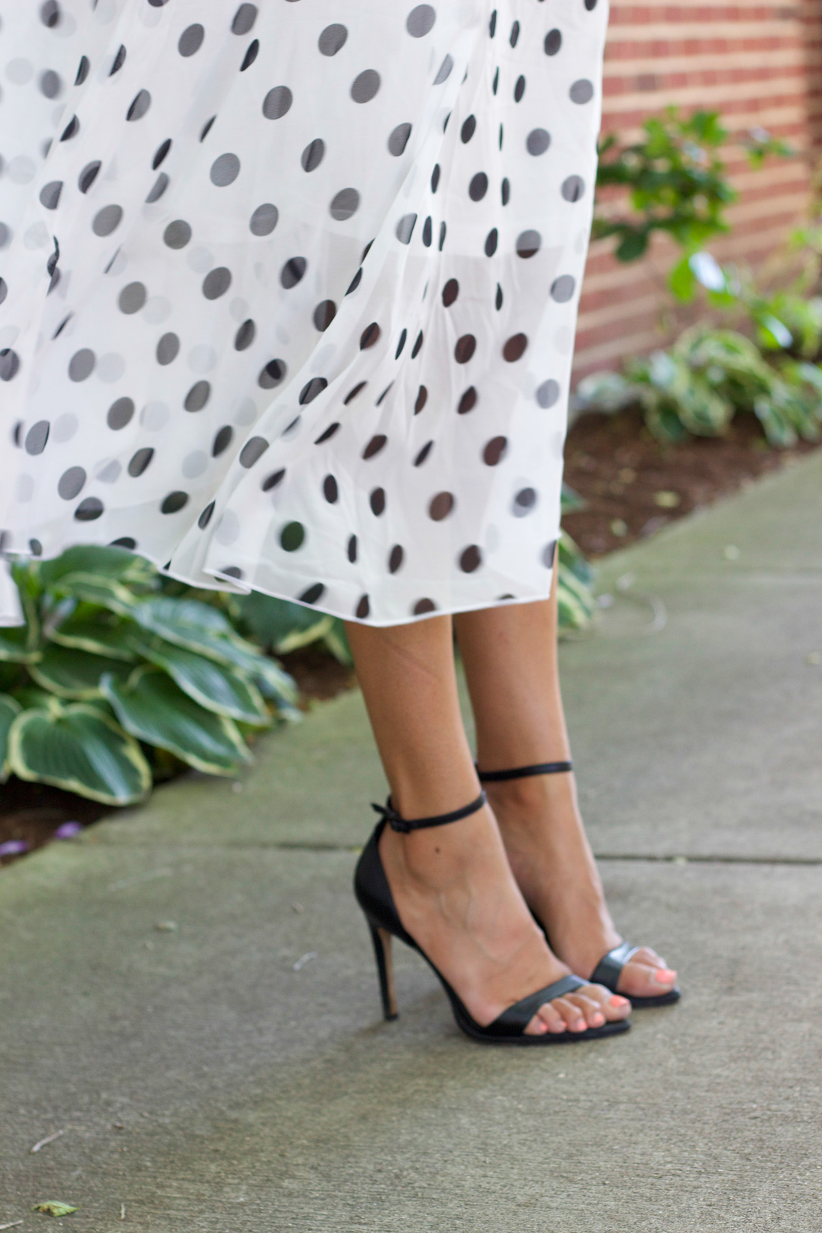 Dainty Polka Dot Dress | Lows to Luxe
